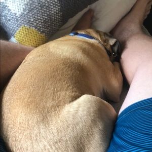 Meet your Posher, Bennett